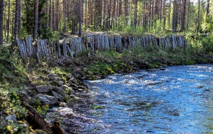 Valokuvassa on joki, jonka rannalla on pystyistä kokopuista rakennettu seinämä.
